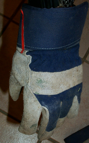 A gardening glove