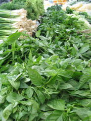 Basil, a common herb