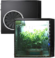 Plants grown in a hydroponics grow box made to look like a computer
