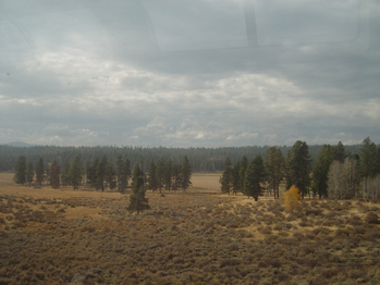 Photograph of a landscape