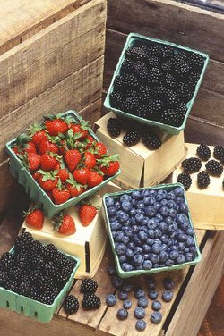 Several types of "berries" from the market, but none of these are true berries.