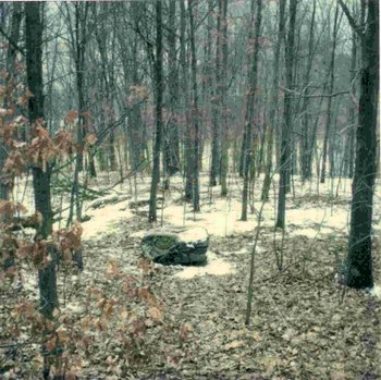 Virgin boreal acid bogs at Brown's Lake Bog, Ohio. However, the tree cover is not typical of a bog.
