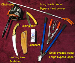 Pruning tools utilized by a pruning and arborsculpture specialist for cutting twigs and branches.