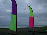 Flags flown on a beach.