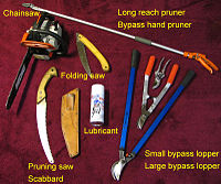Some Pruning tools that can be used to maintain a garden.