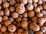 Hydroton brand expanded clay pebbles.