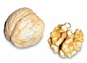 A walnut and a walnut core