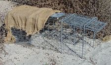 Cage trap with shade cloth to protect animal from heat.
